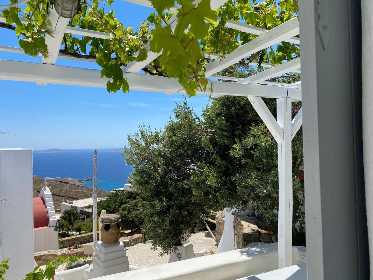 Villa Eleni Mykonos Town Esterno foto