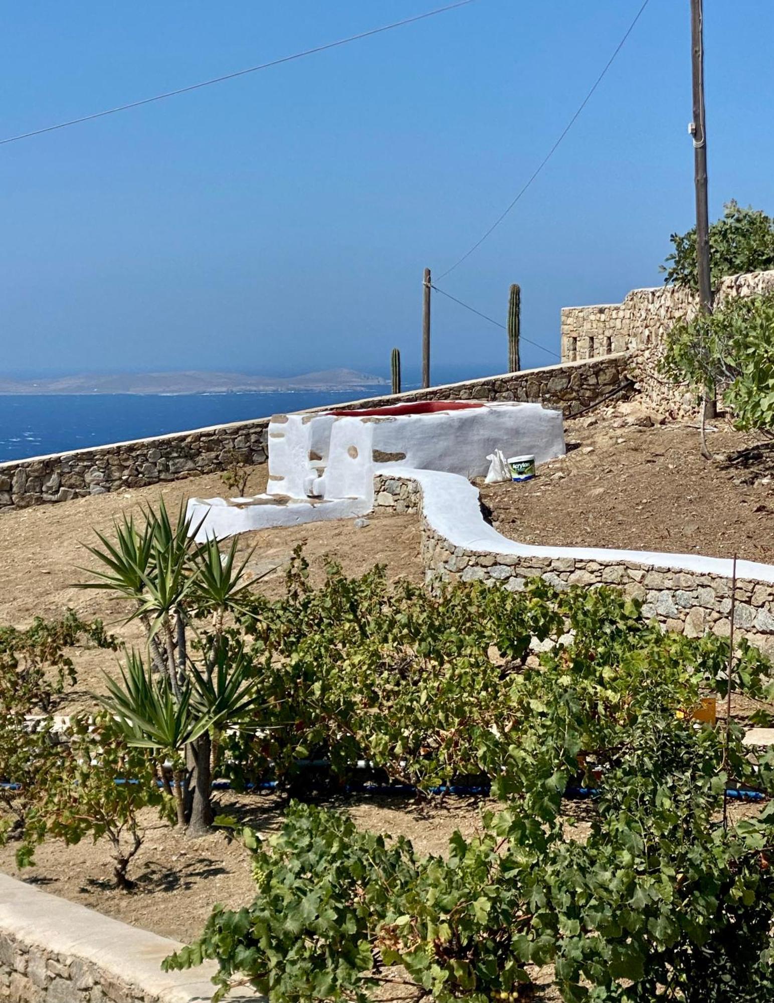 Villa Eleni Mykonos Town Esterno foto
